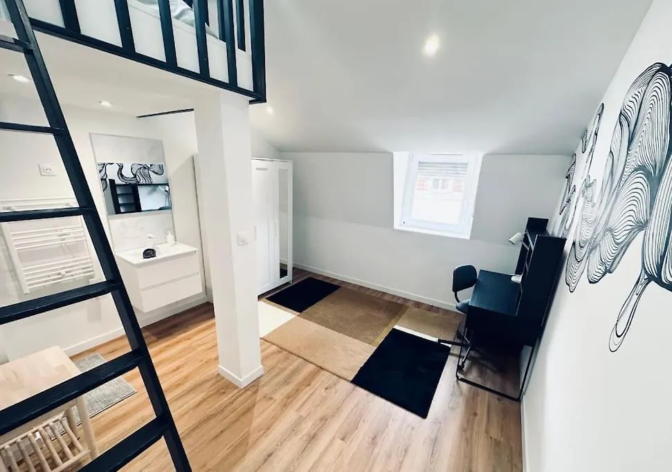 Nouveau! Centre Lille T3 Avec Wifi, Tv, Netflix